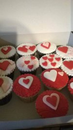 Muffin''s Box of 12