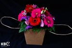 MIXED GEBRAS IN A BAG - Image 2