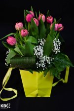 TULIPS IN A BAG