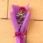 WOMENS DAY -  CARNATION