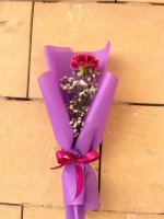 WOMENS DAY -  CARNATION